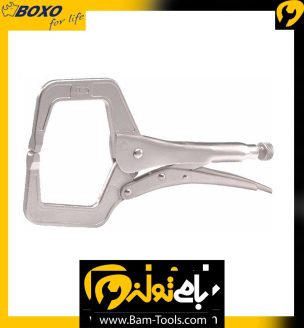 انبرقفلی ورقگیر