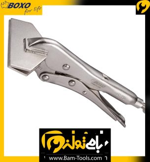 انبرقفلی ورقگیر